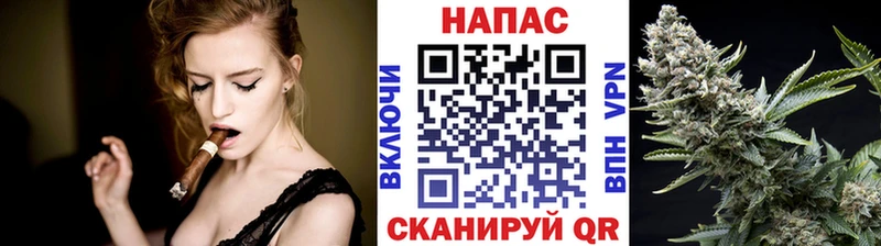 МАРИХУАНА сатива  мориарти клад  Нея 